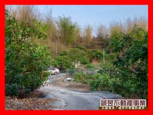 誠昱/左鎮近化石園區丙建.